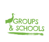 Groups & Schools