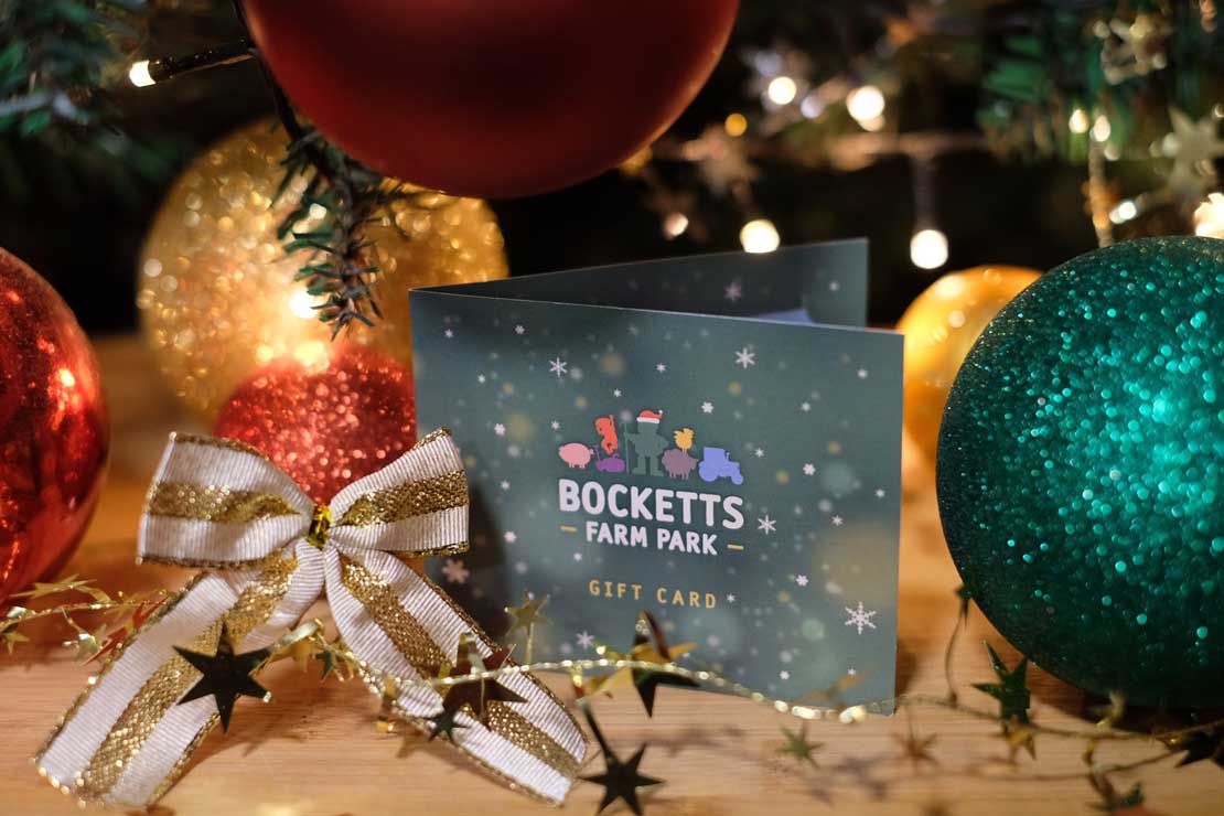 Buy Tickets Bocketts Farm Park Surrey