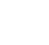 Bristol Zoo Project