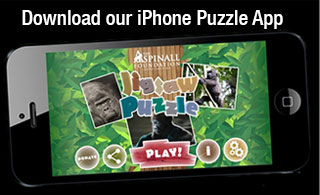 Download our iPhone Puzzle App