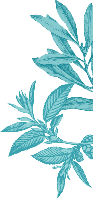 Right Illustration