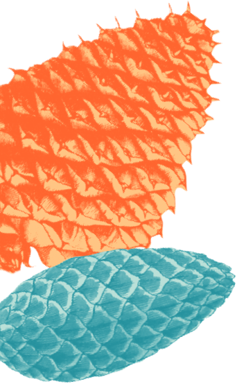 Left Illustration
